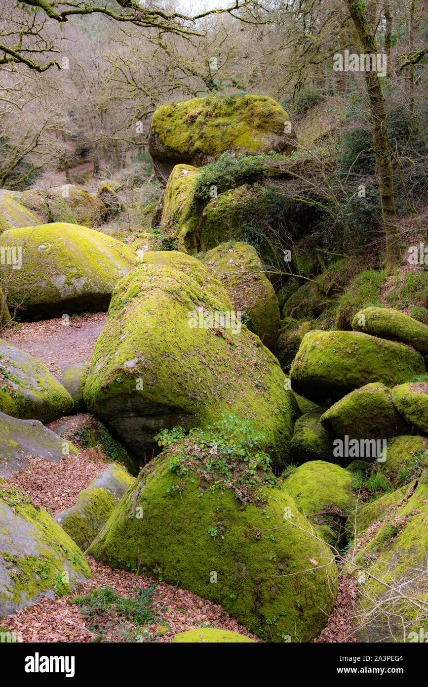 Winter in Brittany. In the forest of Huelgoat, in the heart of the mountains of Arrée, the rocks covered with green moss have created a famous chaos. Stock Photo