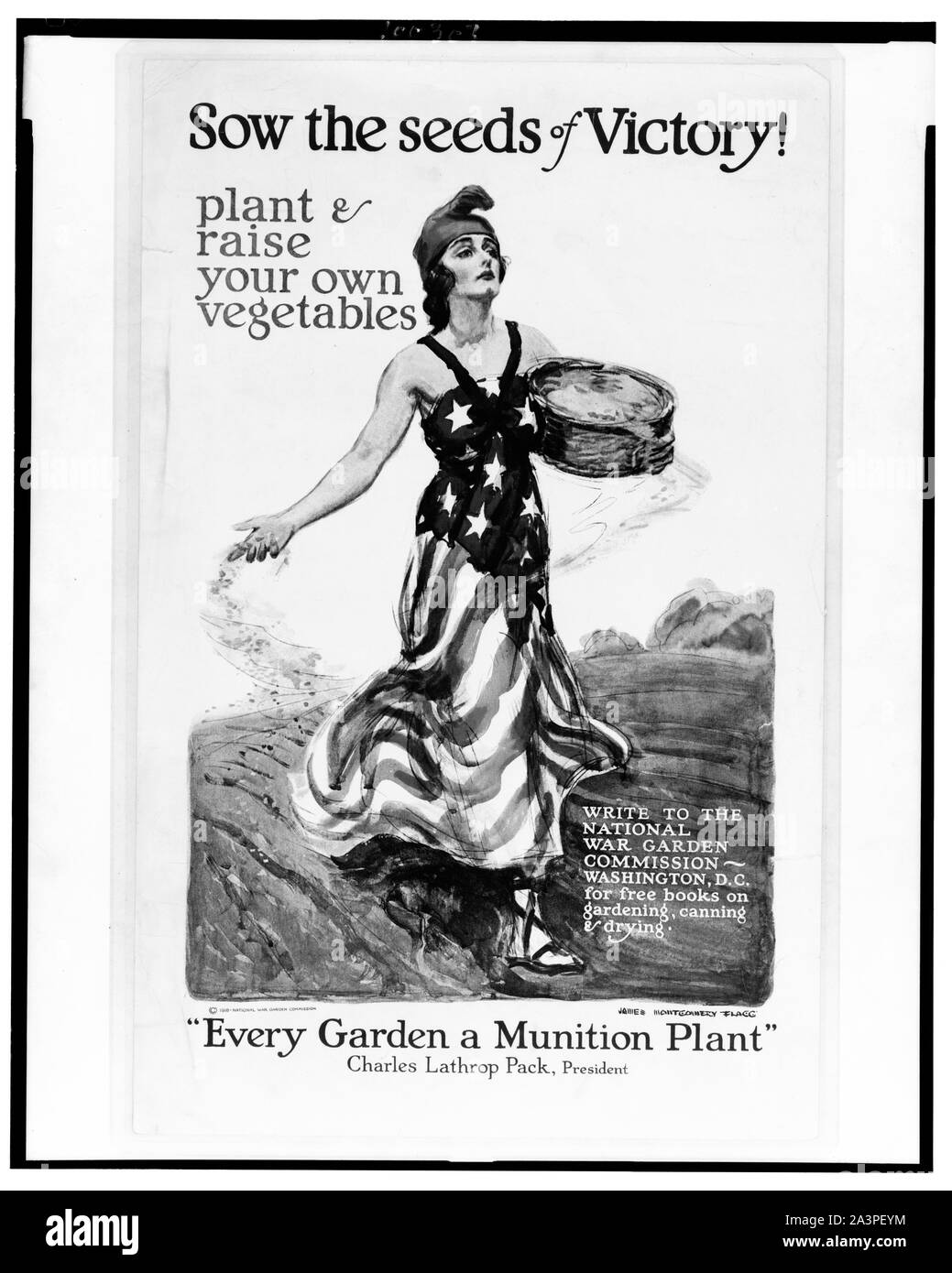 your lie in april cap