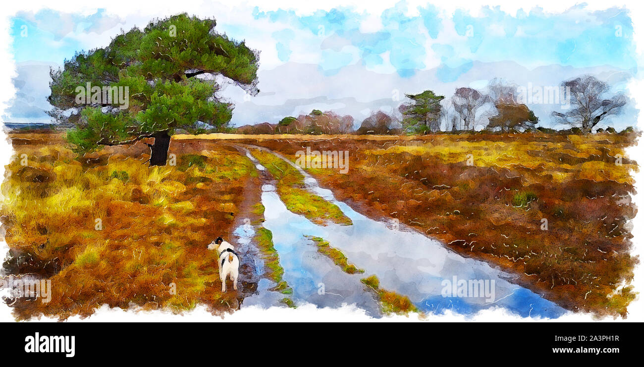 Watercolour painting of a small dog out walking on Studland heath near Poole in Dorset Stock Photo