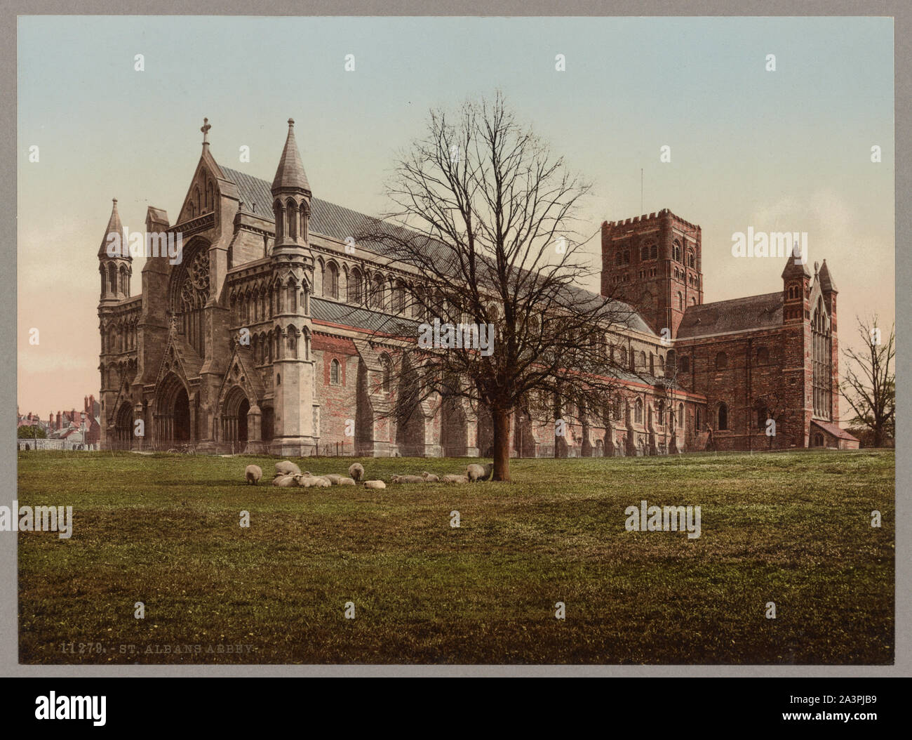 St. Albans Abbey Stock Photo