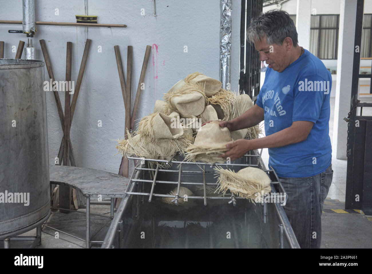 Making traditional Panama hats (paja toquilla), which actually come from Ecuador Stock Photo