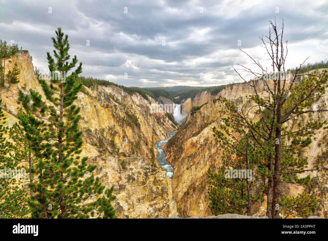 Lower Falls and Grand Canyon of the Yellowstone from Artist Point. The canyon is 20 miles long, over 1,000 feet deep and up to 4,000 feet wide. Stock Photo