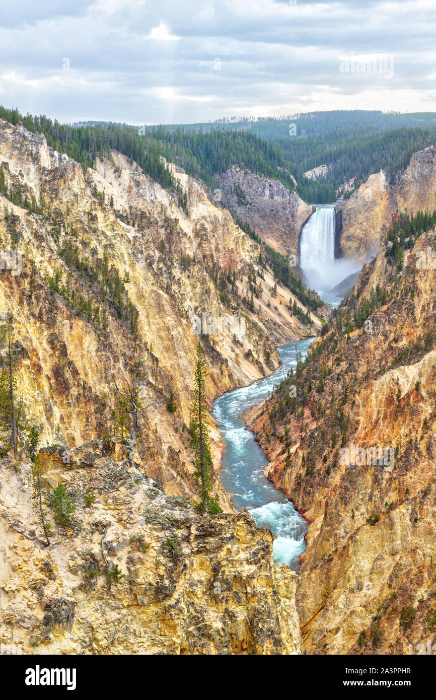 Lower Falls and Grand Canyon of the Yellowstone from Artist Point. The canyon is 20 miles long, over 1,000 feet deep and up to 4,000 feet wide. Stock Photo