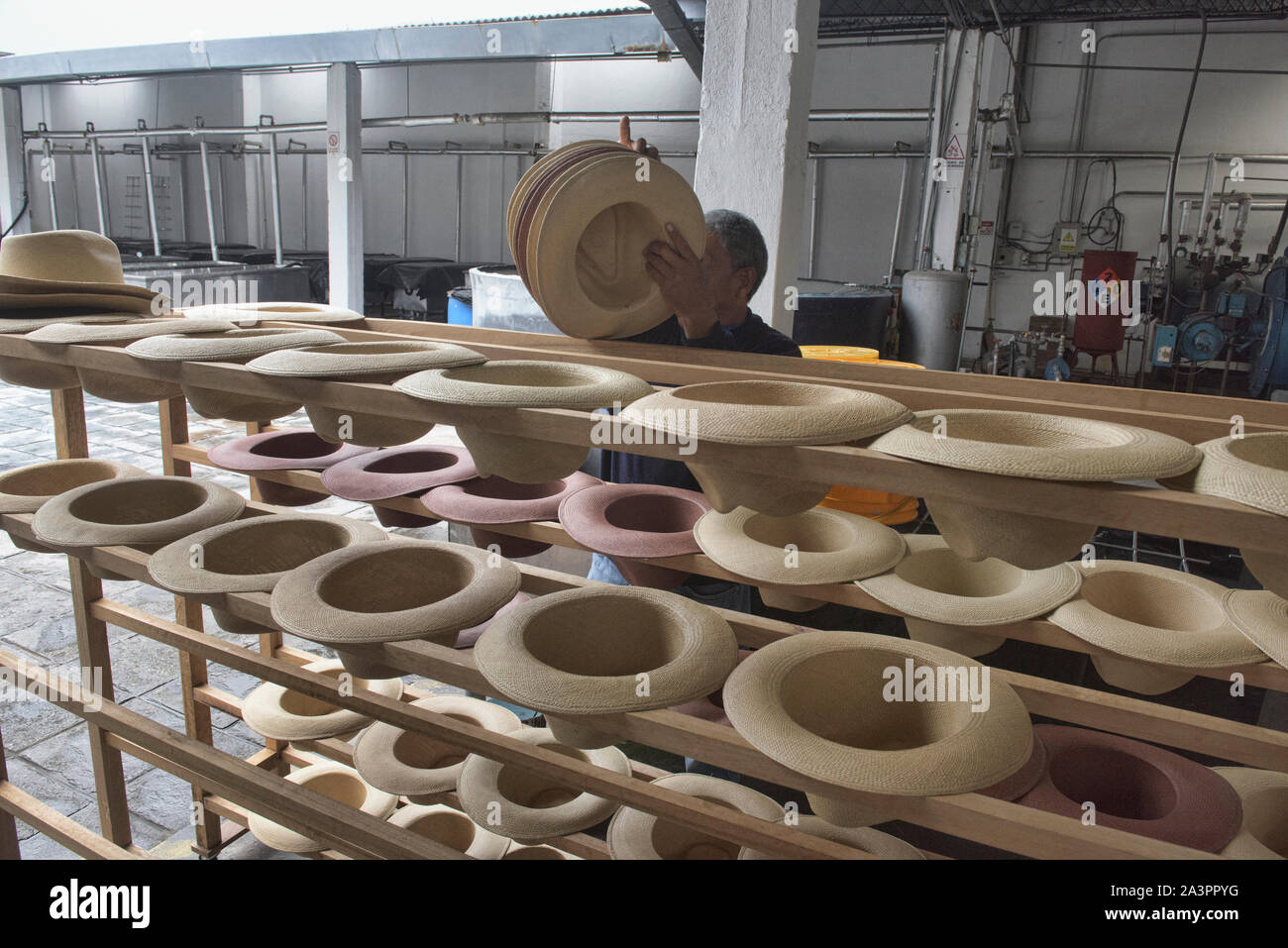 Traditional Panama hats (paja toquilla), which actually come from Ecuador Stock Photo