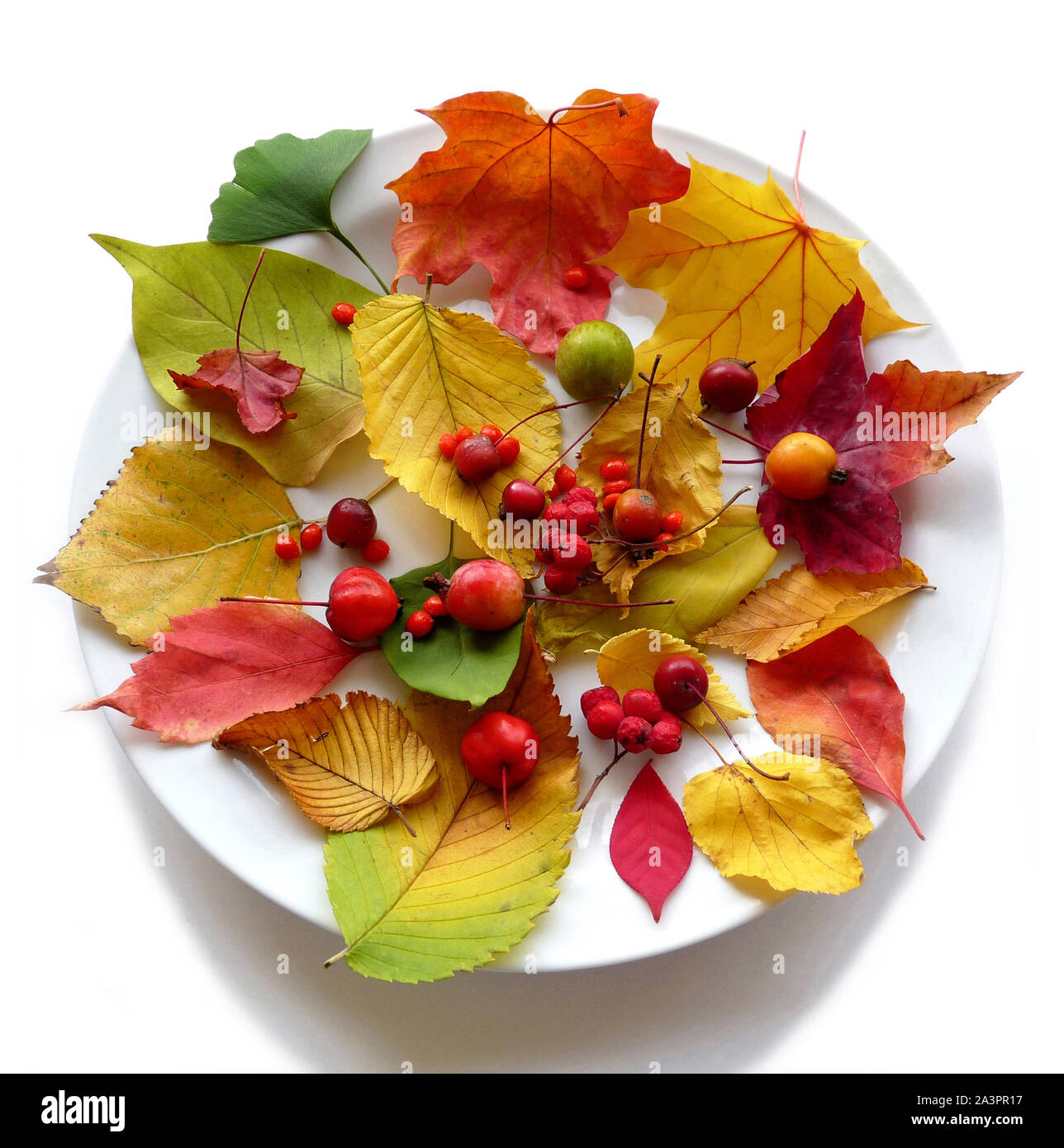 Autumn is so colorful and wonderful attractive beautiful, and magic time celebrate Stock Photo