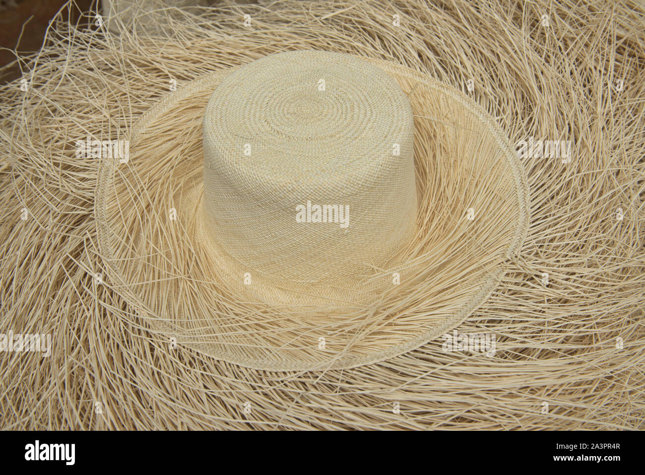 Weaving straw into a Panama hat (paja toquilla), which actually comes from  Ecuador Stock Photo - Alamy