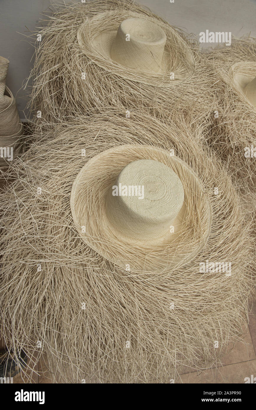 Weaving straw into a Panama hat (paja toquilla), which actually comes from Ecuador Stock Photo