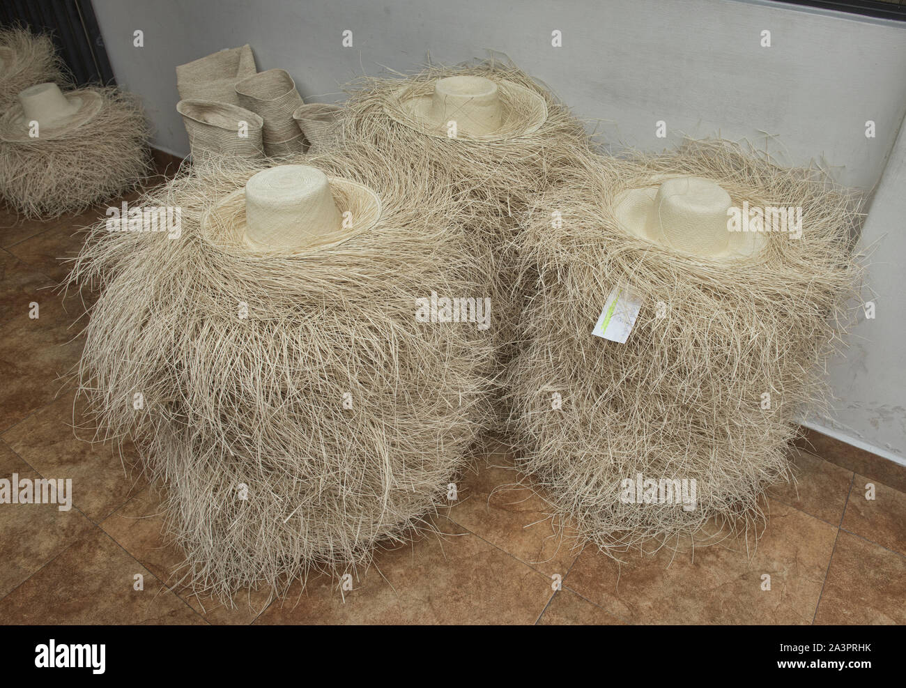 Weaving straw into Panama hats (paja toquilla), which actually come from Ecuador Stock Photo