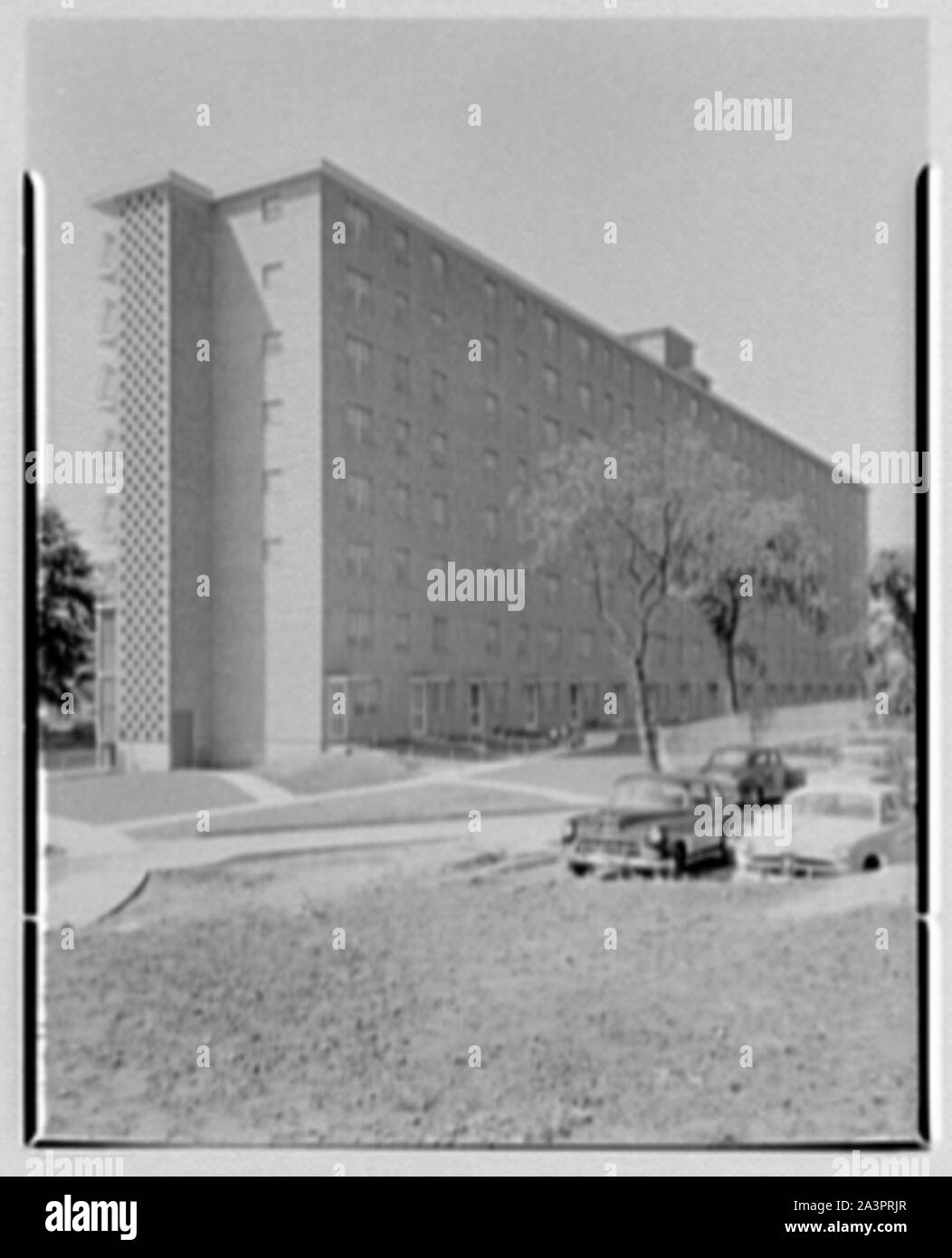 Stamford housing authority hires stock photography and images Alamy