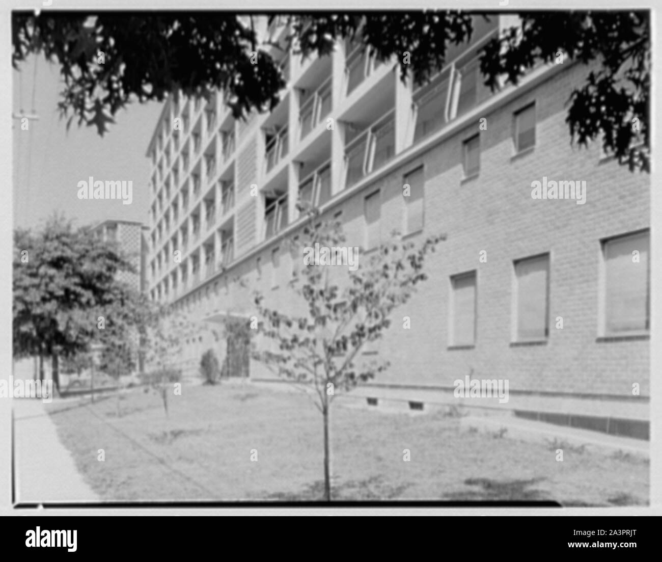 Stamford Housing Authority Stock Photo Alamy