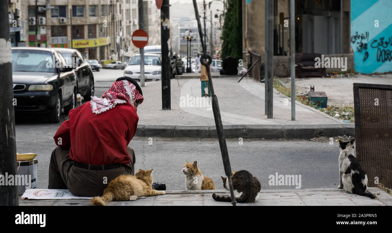 The 'Cat Whisperer' of Sweifieh, Amman, Jordan Stock Photo