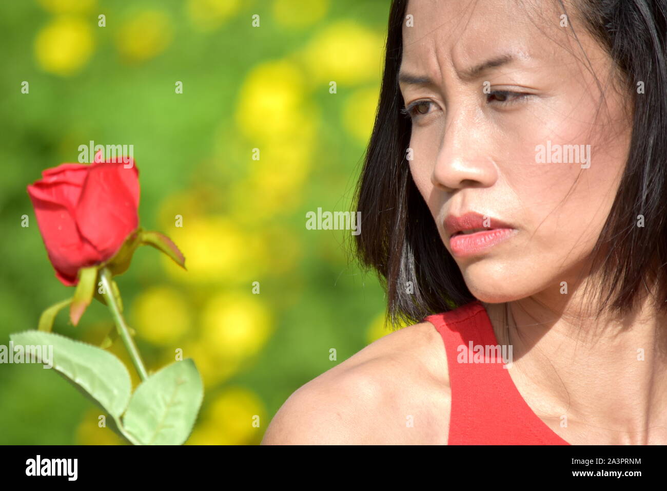 Asian rose hires stock photography and images Alamy