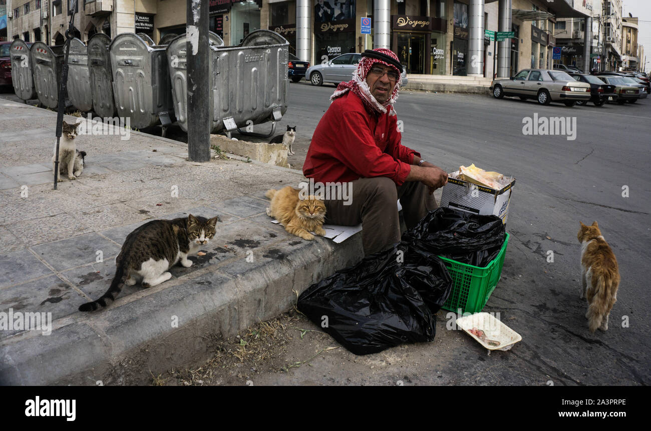 The 'Cat Whisperer' of Sweifieh, Amman, Jordan Stock Photo
