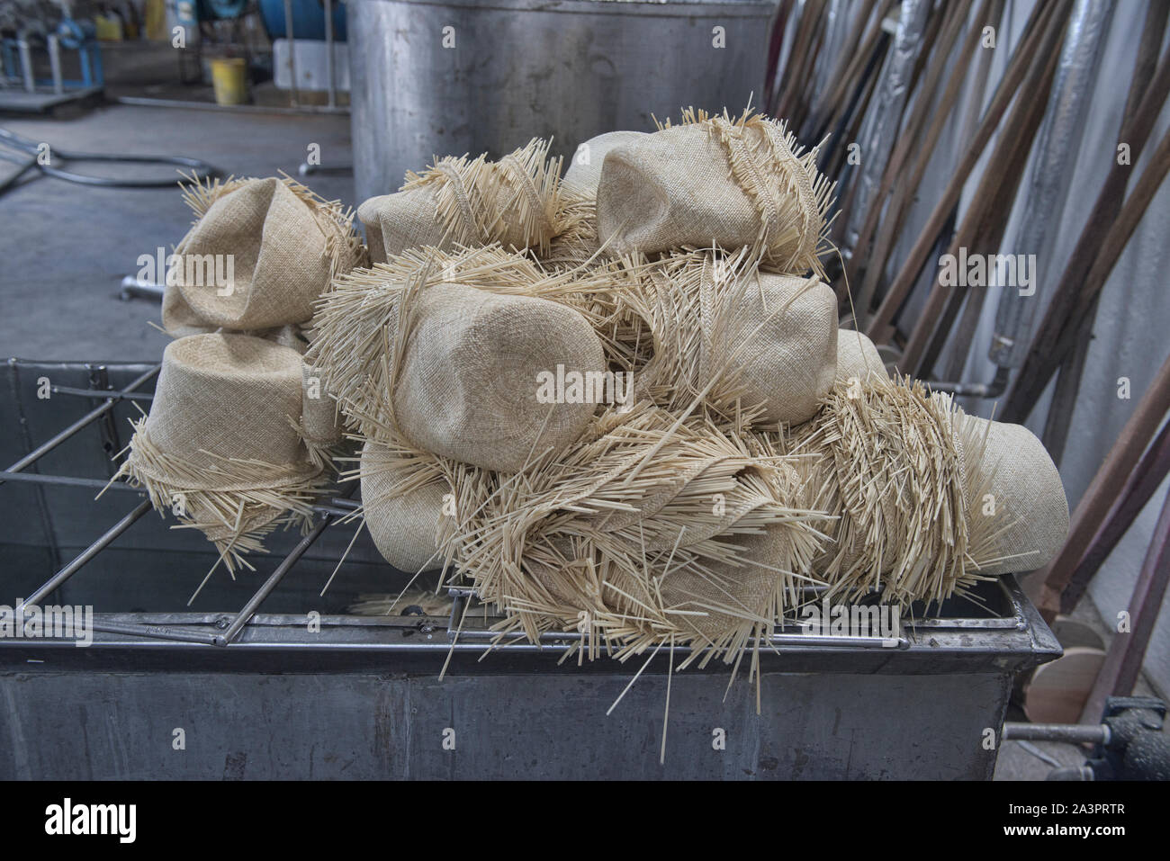 Scenes from a Panama hat (paja toquilla) factory in Cuenca, Ecuador Stock Photo