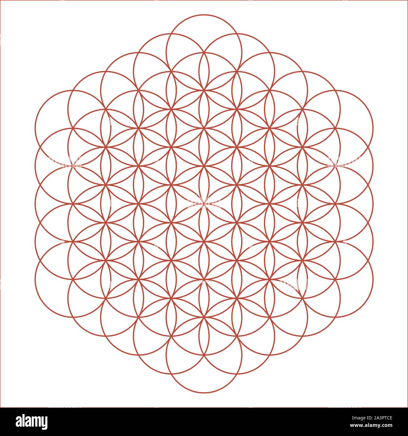 Flower of life 61 circles - red root chakra Stock Vector