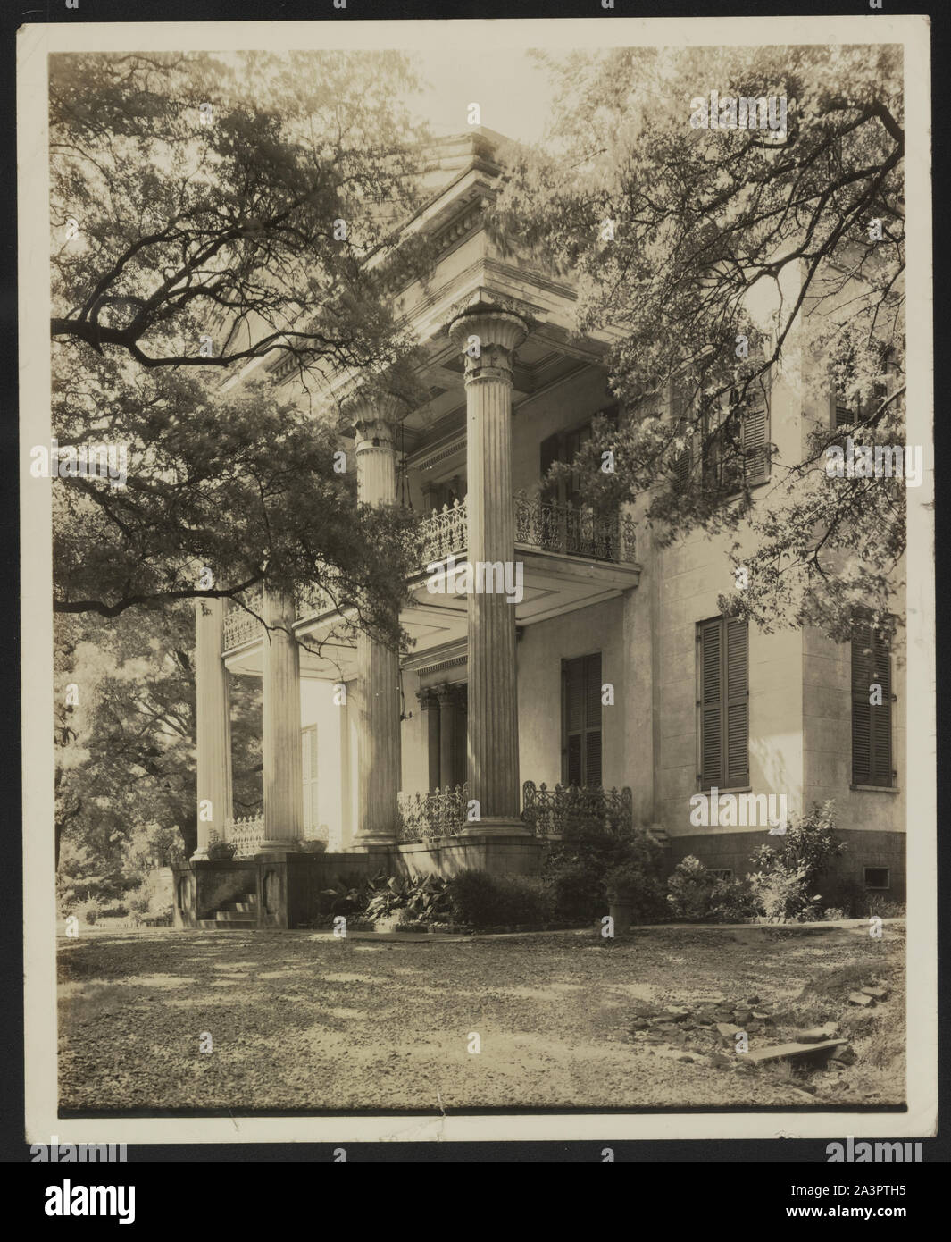 Stanton Hall, Natchez, Adams County, Mississippi Stock Photo Alamy