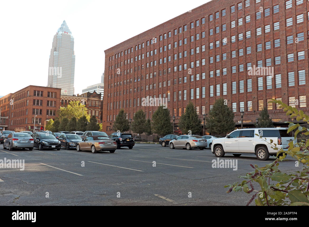 Cars are parked outside the West 9th Street Bingham Building, a