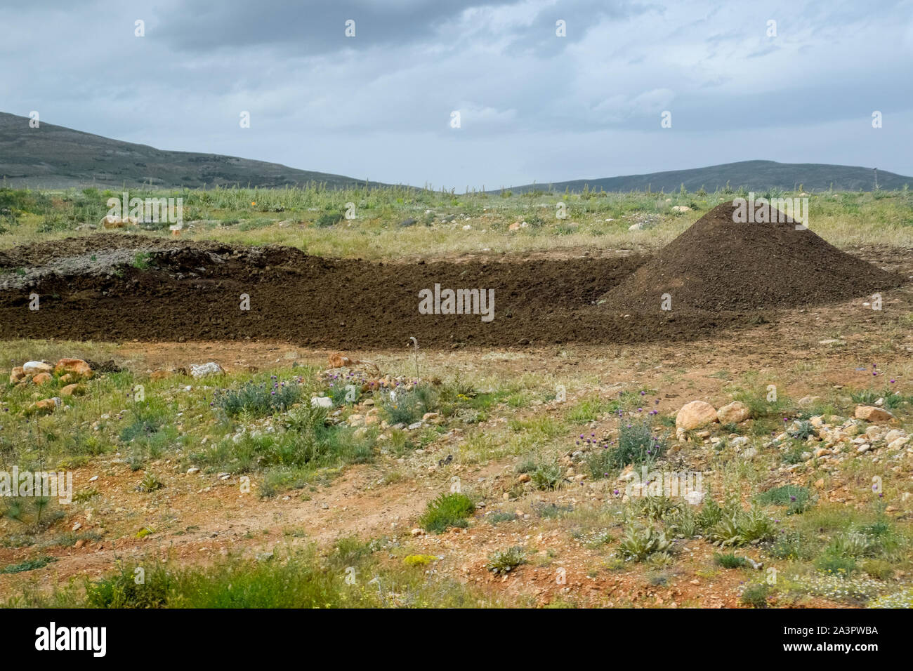 Piles of manure in the field. Cow and horse manure with land Stock