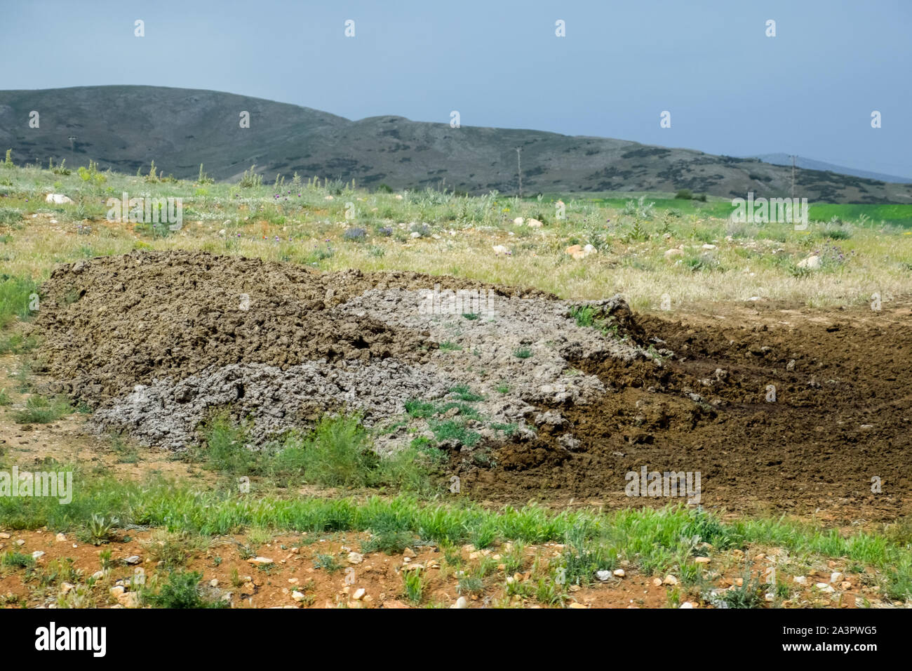 Piles of manure in the field. Cow and horse manure with land Stock