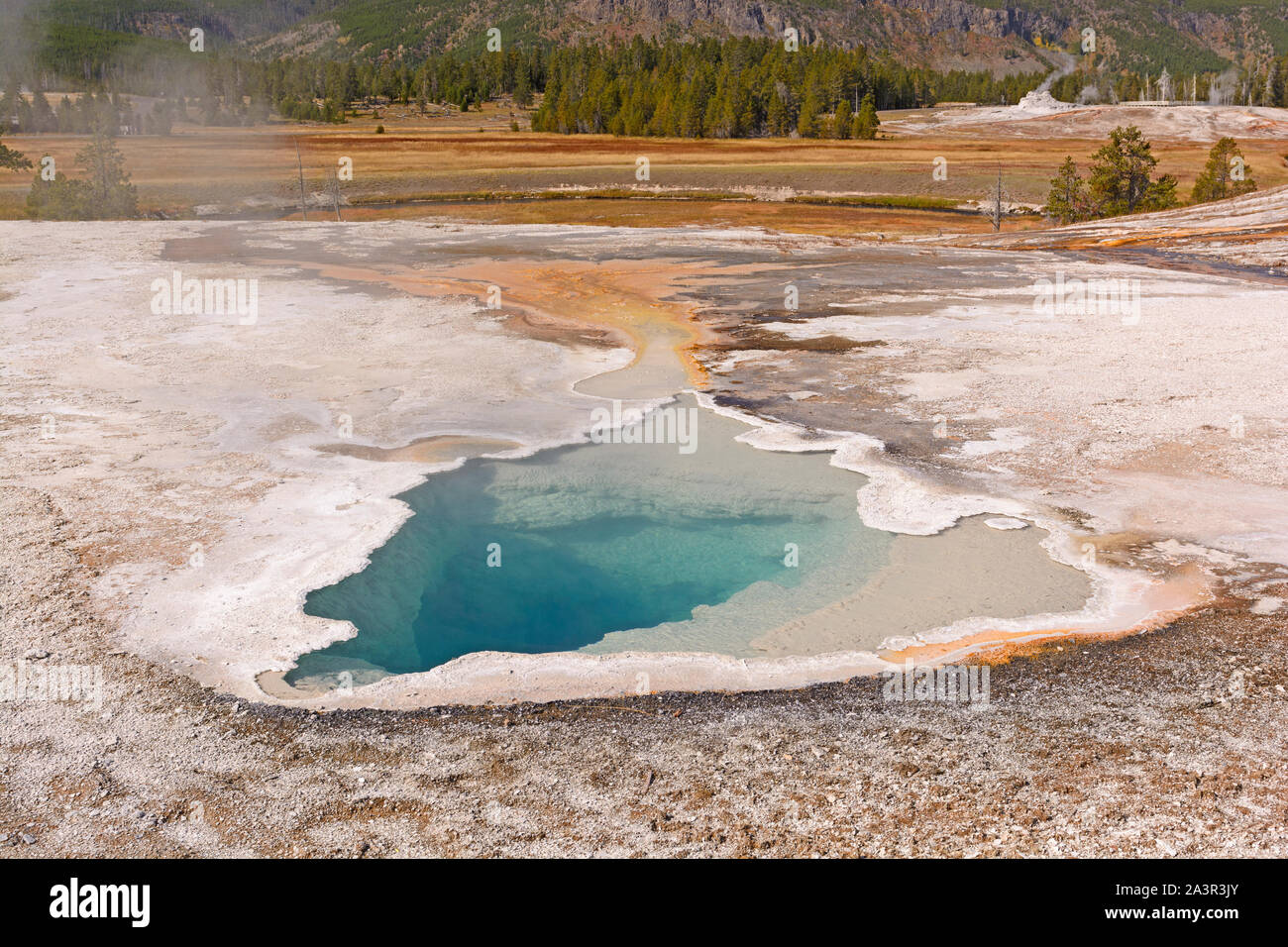 Ear Spring in the Upper Geyser Basin of Yellowstone National Park Stock ...