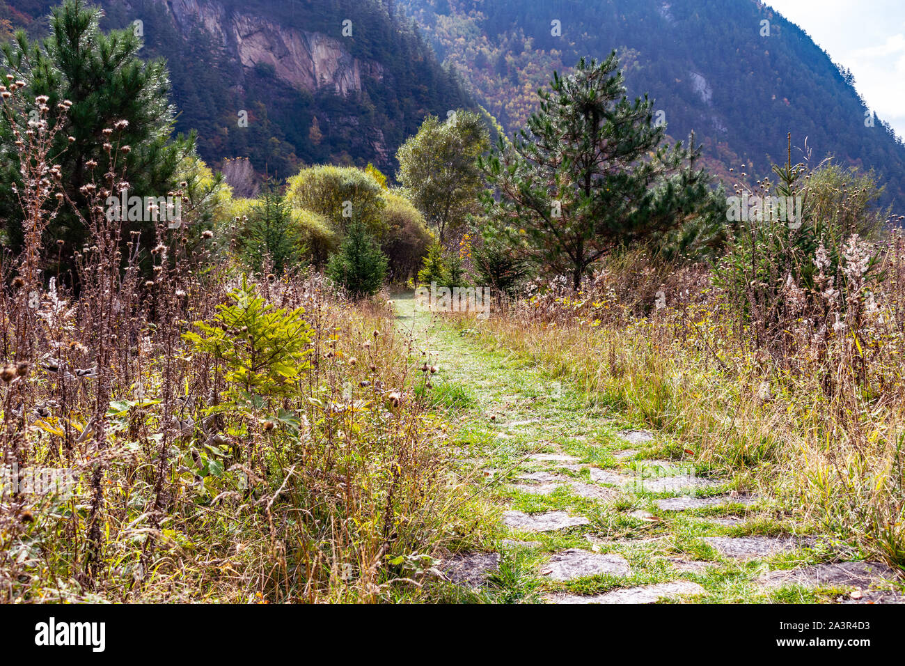 Lonely hill path with shrubbery Stock Photo