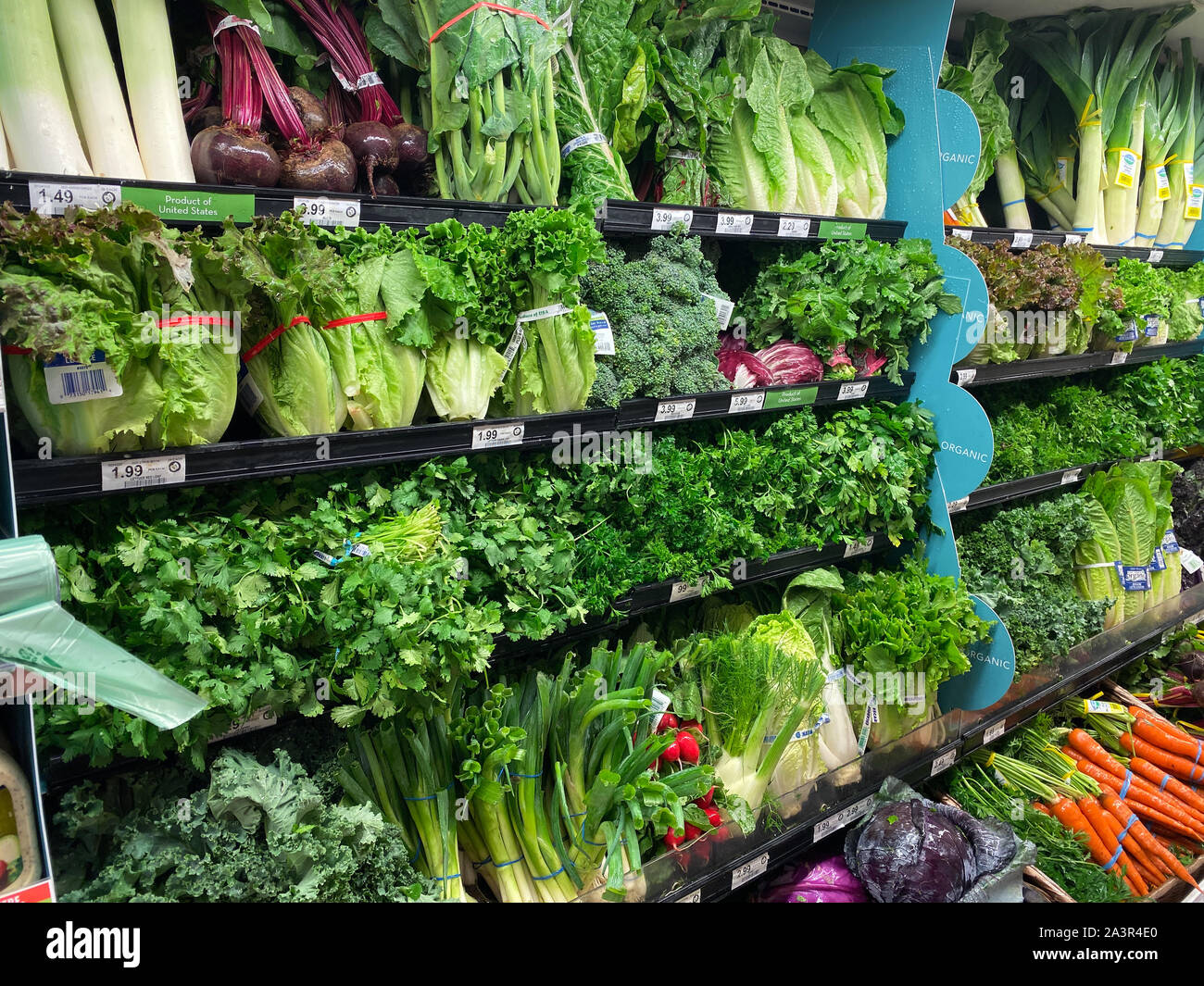 https://c8.alamy.com/comp/2A3R4E0/orlandoflusa-10819-the-fresh-produce-aisle-of-a-grocery-store-with-colorful-fresh-fruits-and-vegetables-ready-to-be-purchased-by-consumers-2A3R4E0.jpg