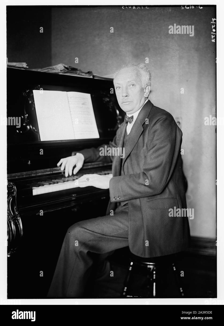 Strauss Stock Photo