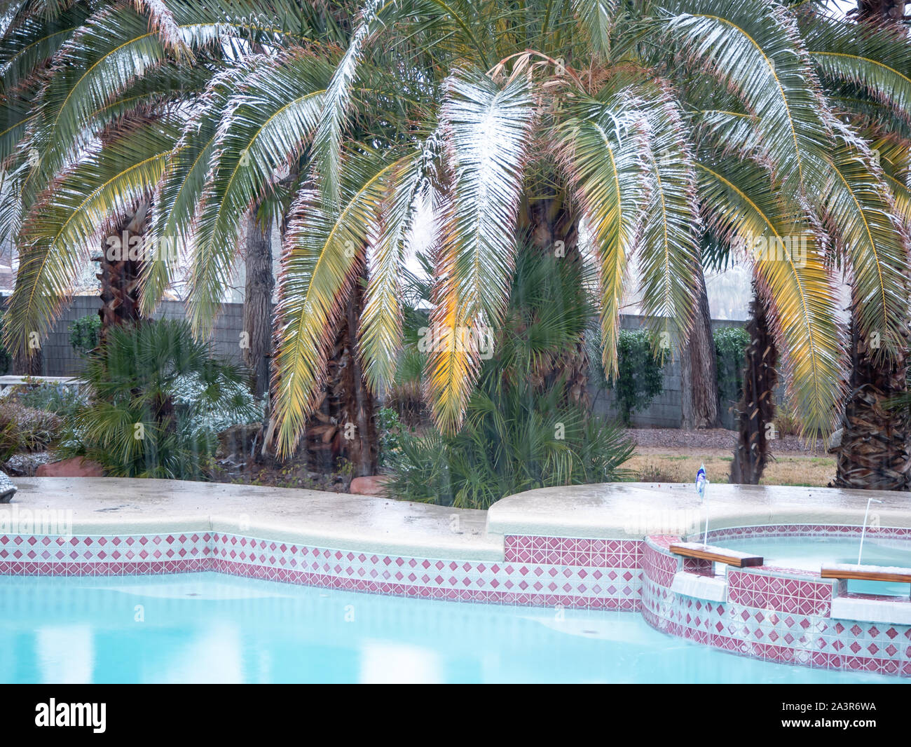 Snow falling on palm trees and swimming pool in Las Vegas, Nevada, USA Stock Photo