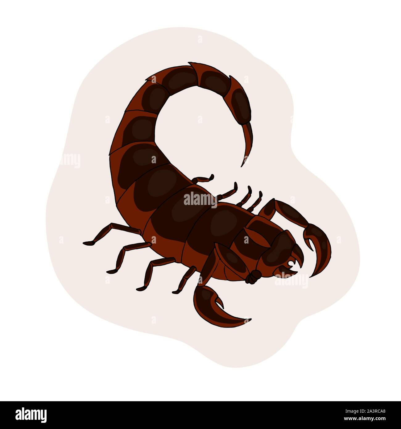 Red scorpion. Vector illustration. White background. Scorpio zodiac sign  Stock Vector Image & Art - Alamy