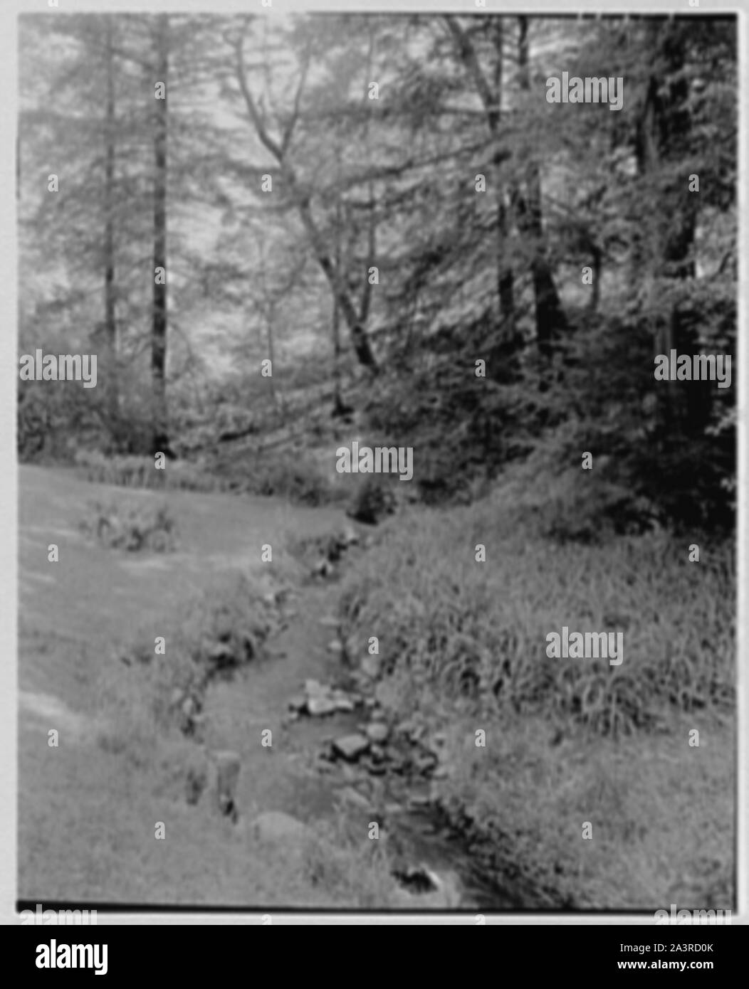 Sunnyside Restoration, Washington Irving House, Tarrytown, New York