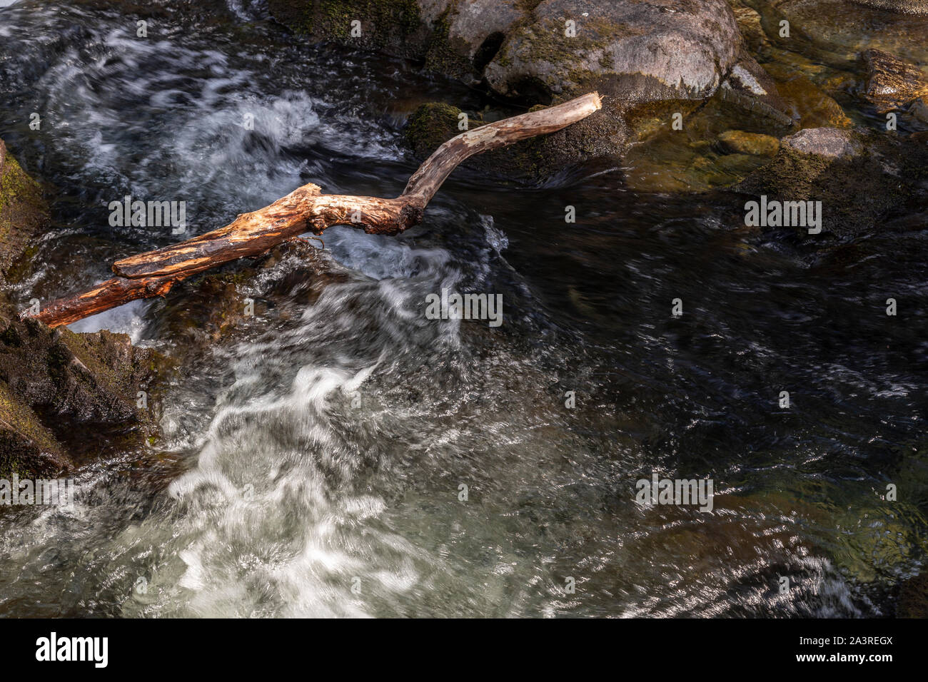 The Afon Lledr river near Betws-y-Coed, Snowdonia, North Wales Stock Photo