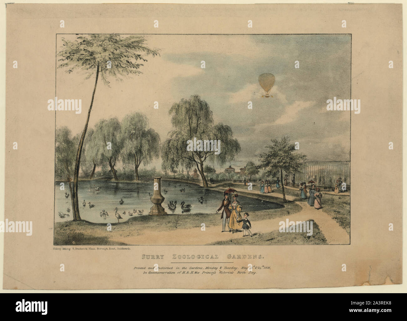 Surry [sic] Zoological Gardens Print shows pond and people walking at the Surrey Zoological Gardens, London, England, with a balloon ascending in the distance. Print commemorates the 17th anniversary of the birth of Princess Victoria, May 24, 1836. (Source: A.G. Renstrom, LC staff, 1981-82.) Stock Photo