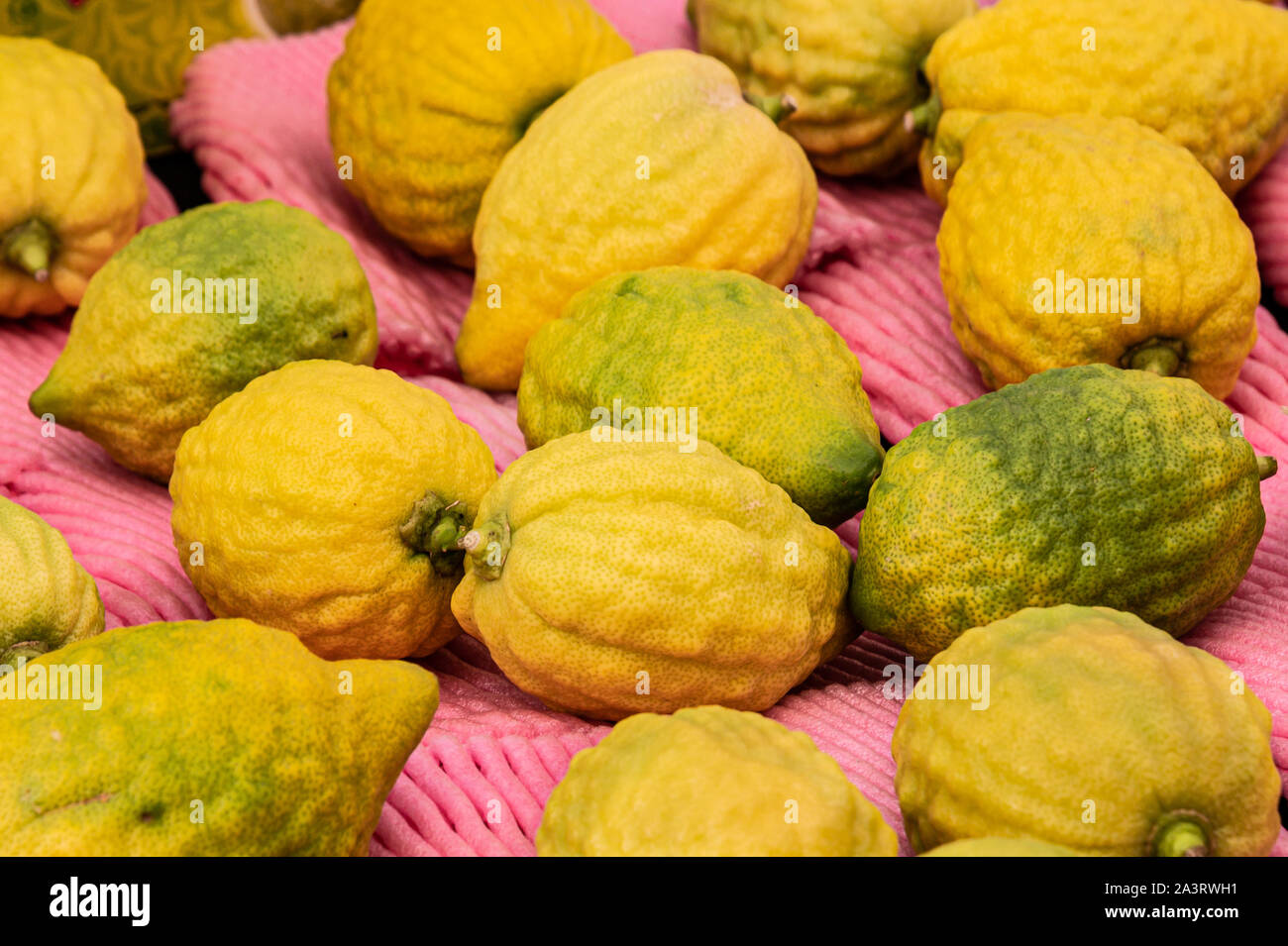 Jerusalem, ISRAEL / 10 OCT 2019: Citrons, the centerpiece fruit of the Four Species of the Sukkot Festival,  for sale in Jerusalem's Machane Yehuda ou Stock Photo