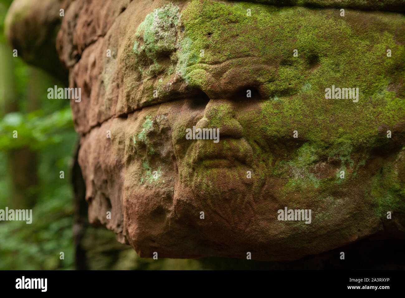 Carved face of a man in stone, Dunino Den, Dunino, St. Andrews, Fife, Scotland Stock Photo
