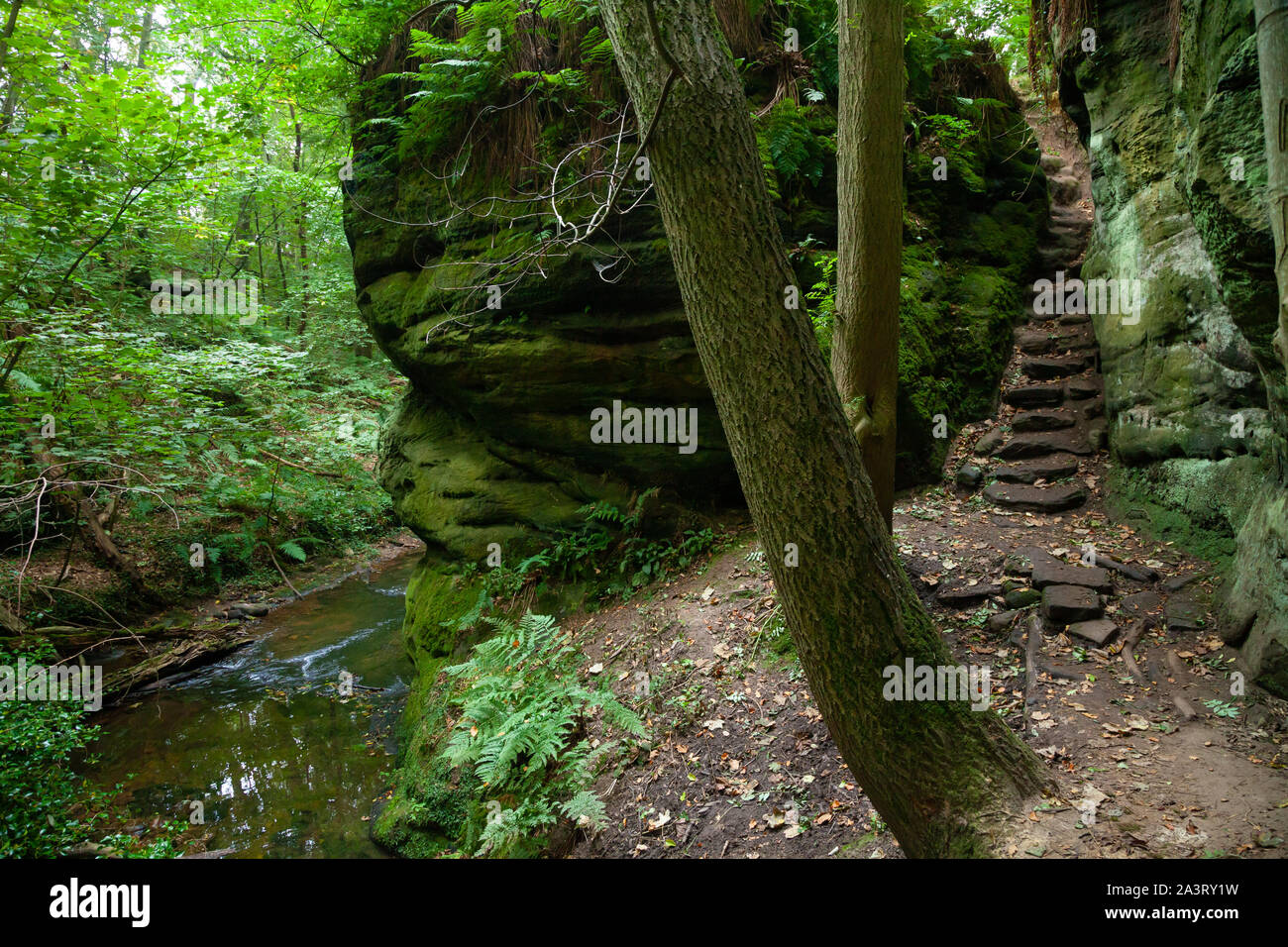 The mysterious Dunino Den, Dunino, St. Andrews, Fife, Scotland Stock