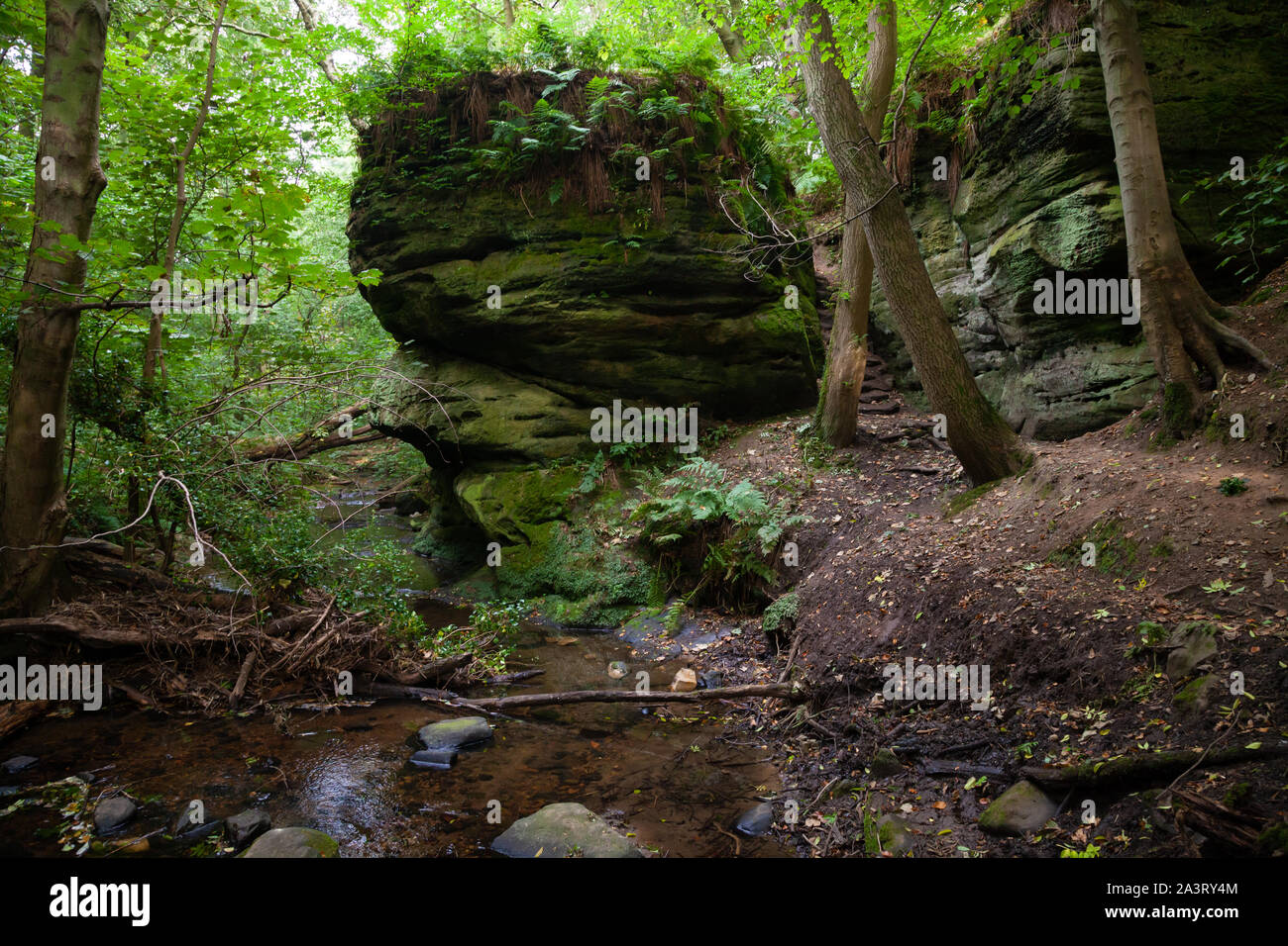 Dunino den scotland hires stock photography and images Alamy