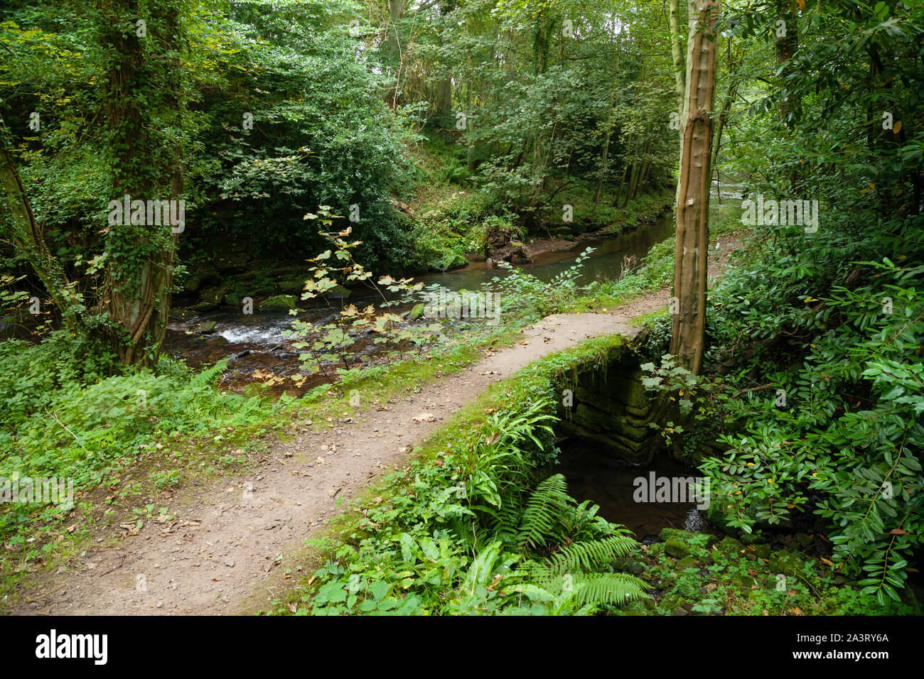 Kenly water hires stock photography and images Alamy