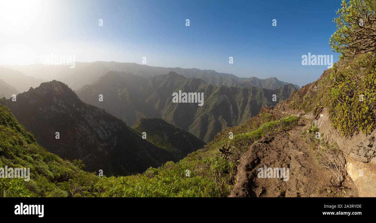Along the PR-TF 10 footpath in Tenerife in the heart of the Anaga mountains, Tenerife, Spain. Stock Photo