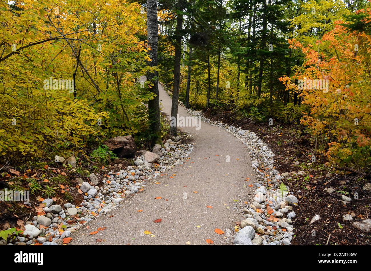 Hiking trail in GrandsJardins National Park in the autumn, Quebec