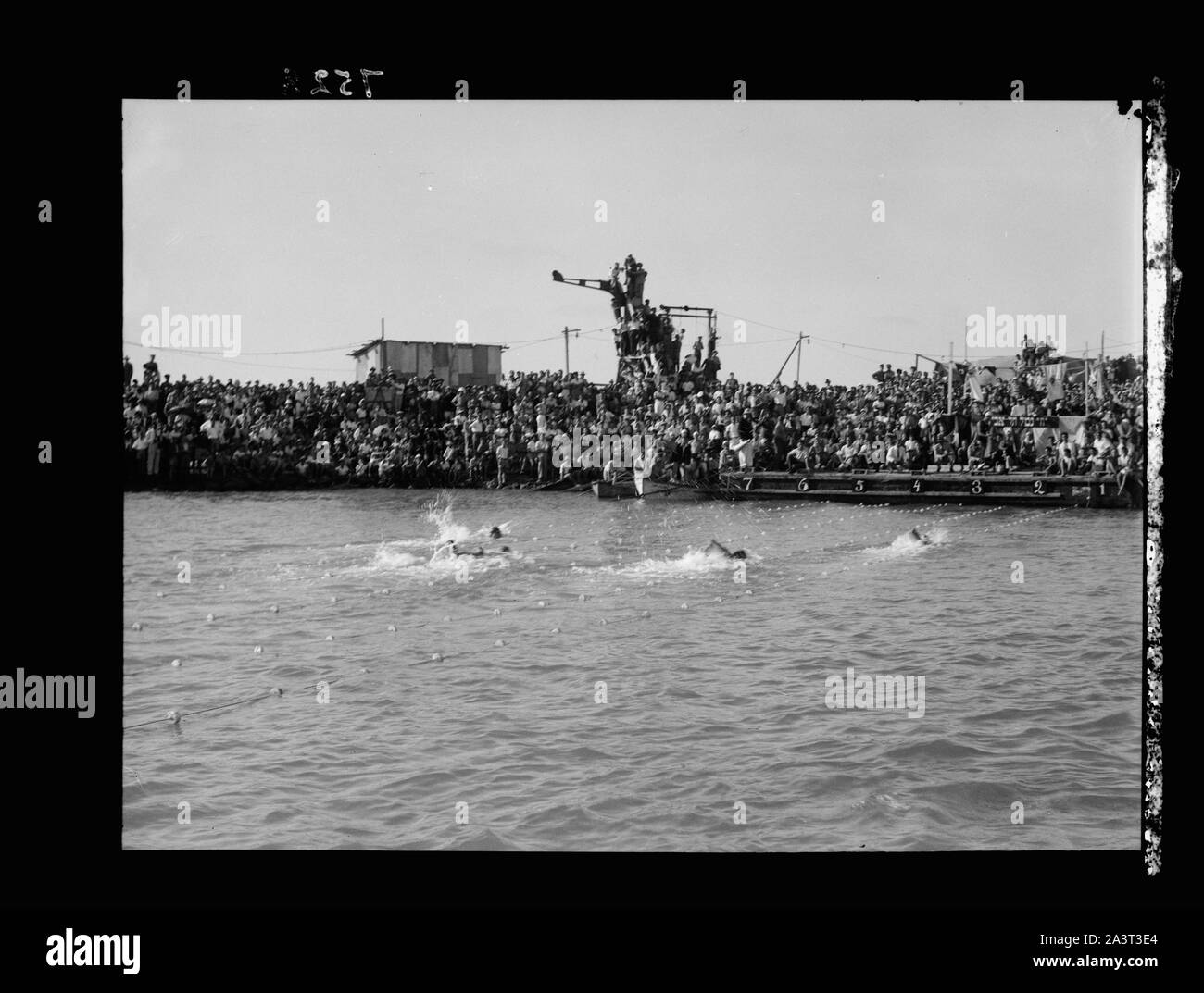 Water Is Life: International Photo Contest 2003 (水は生命で