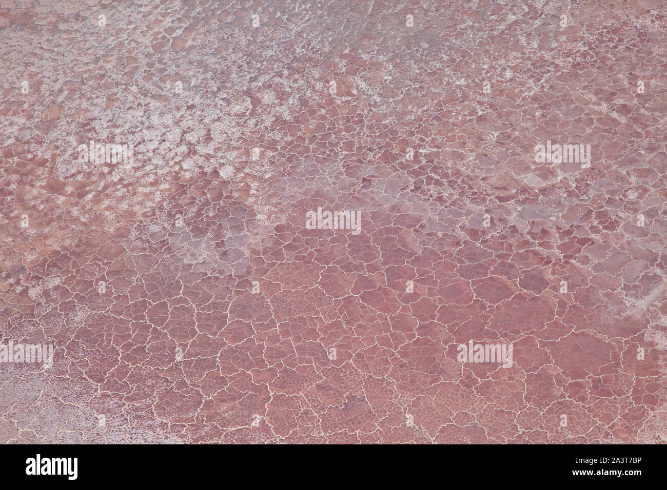 Lago Magadi, Valle del Rift, Kenia, Africa Stock Photo