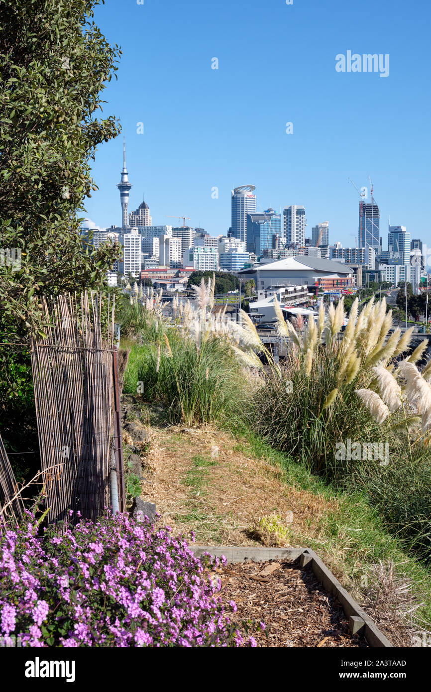 View on the Auckland CBD and Sky Tower from the hill. Vegetation in the foreground. Stock Photo