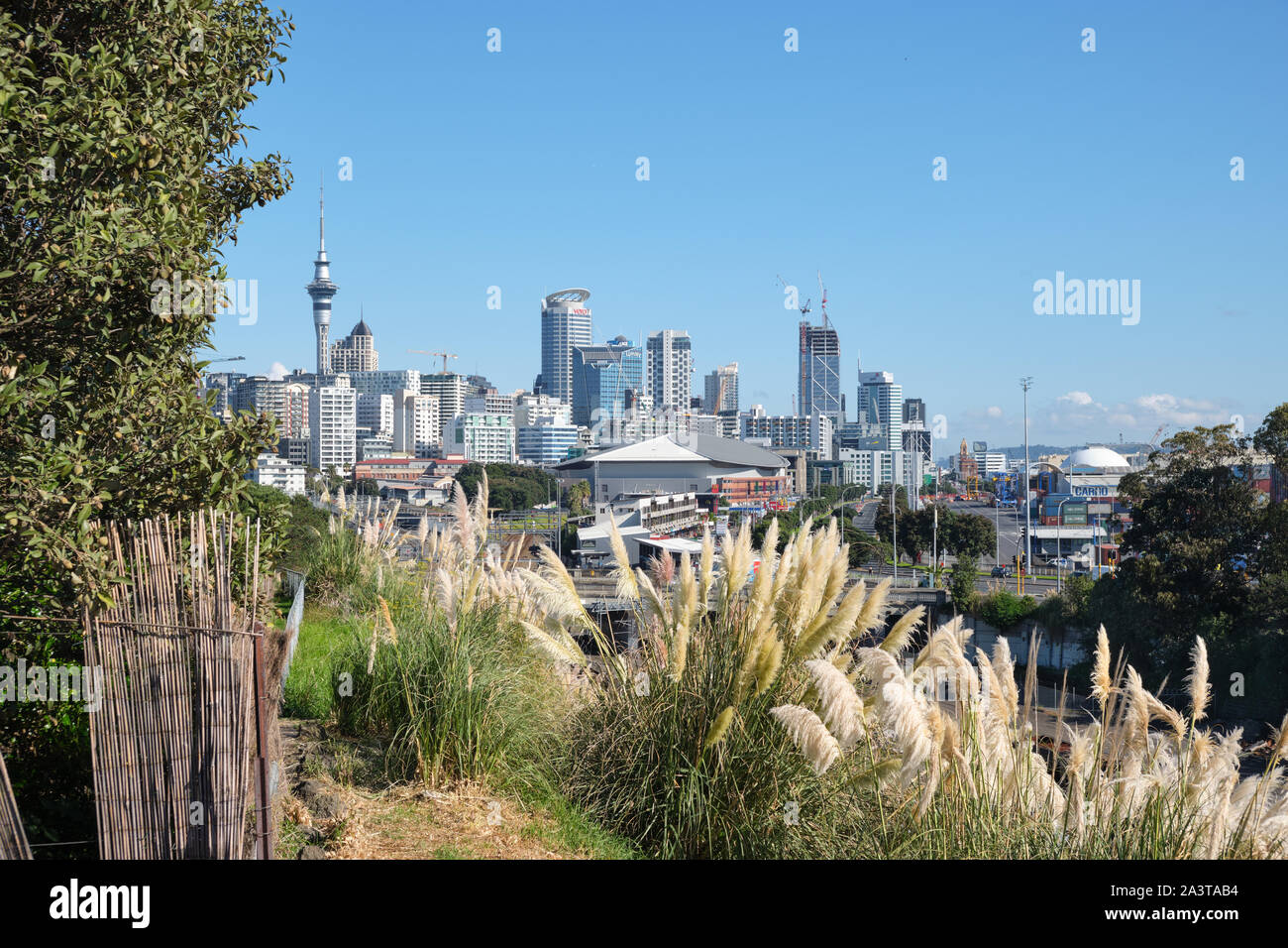 View on the Auckland CBD and Sky Tower from the hill. Vegetation in the foreground. Stock Photo
