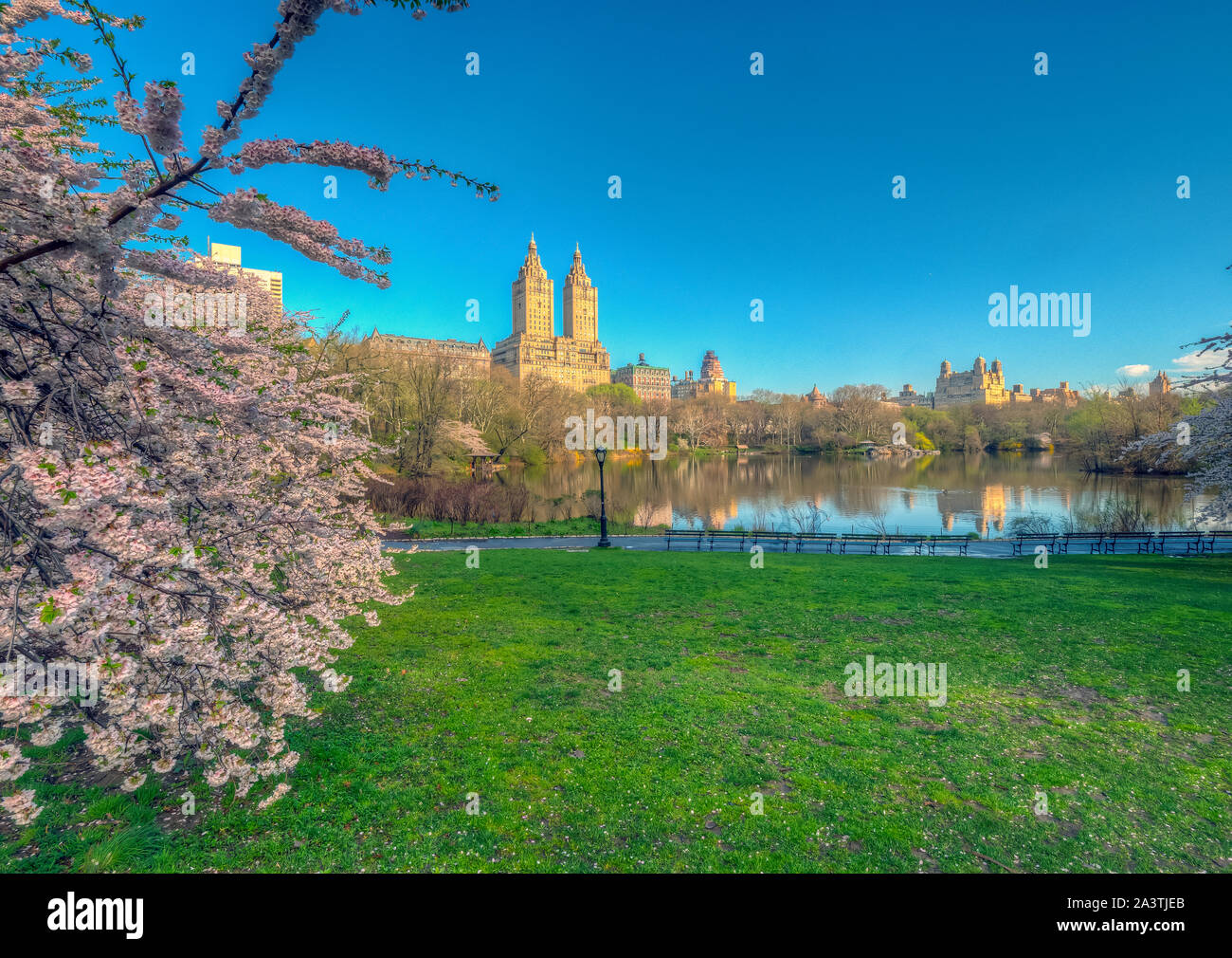 Springtime In New York Spring in Central Park, New York City Stock Photo - Alamy
