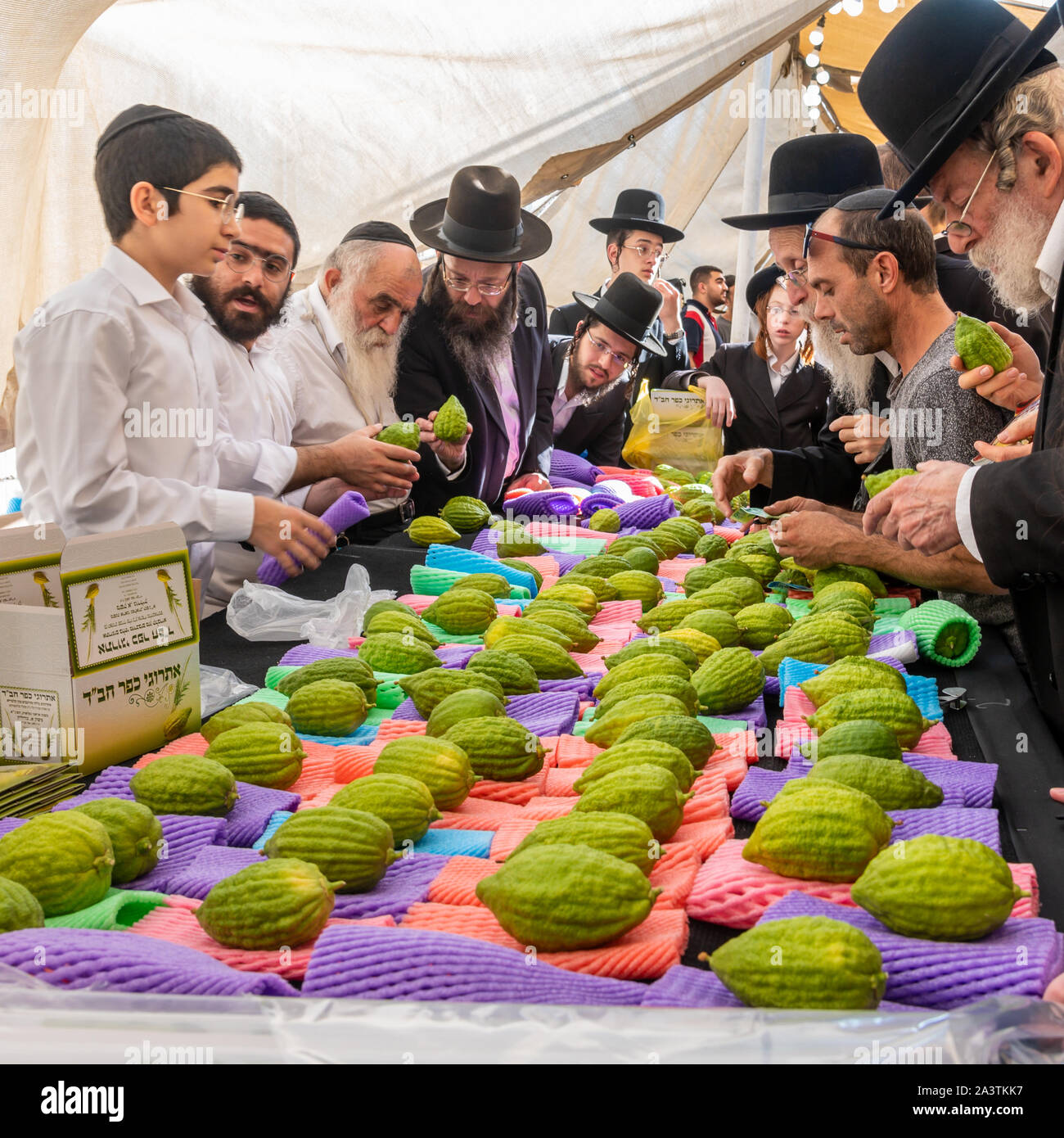 Jerusalem, ISRAEL / 10 OCT 2019: Unidentified shoppers examine citrons, the centerpiece fruit of the Four Species of the Sukkot Festival, in Jerusalem Stock Photo