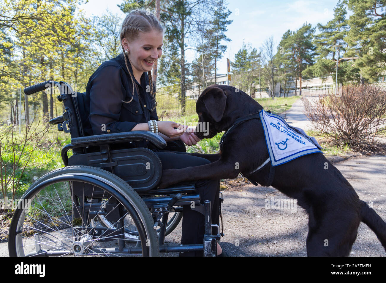Young disabled woman in a wheelchair with a guide dog Stock Photo