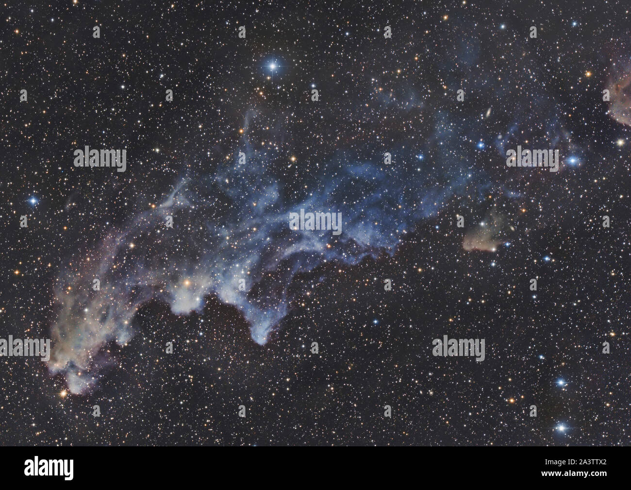 Witch Head Nebula IC 2118 Stock Photo