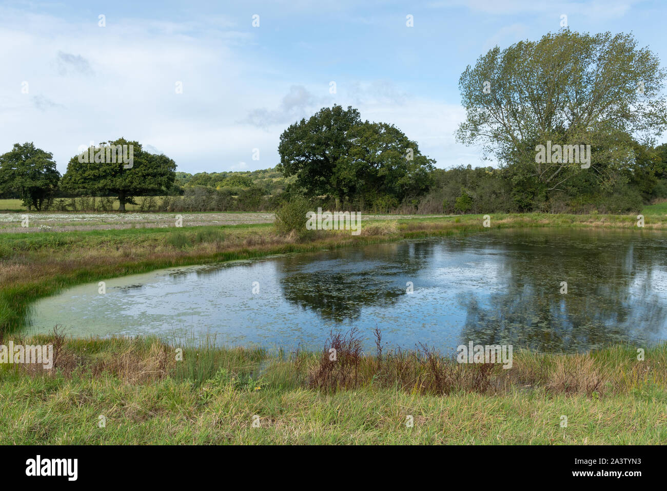 Field pond hires stock photography and images Alamy