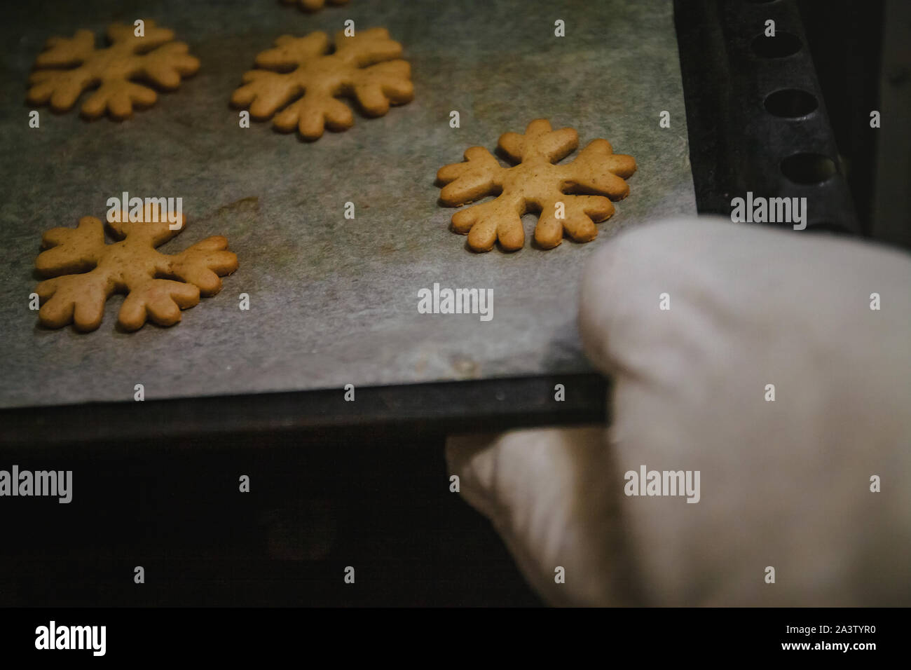 to get gingerbread cookies in the form of snowflakes from a oven mitt. Stock Photo