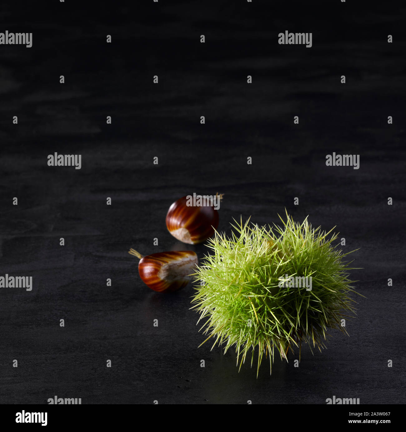 sweet chestnut Stock Photo